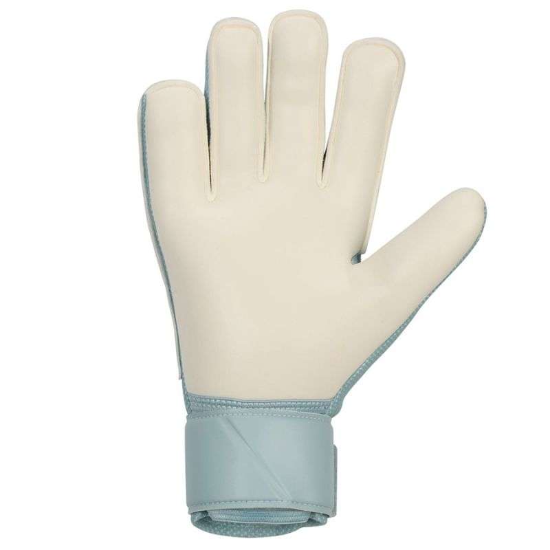 Nike Match Goalkeeper Gloves HQ0257-395