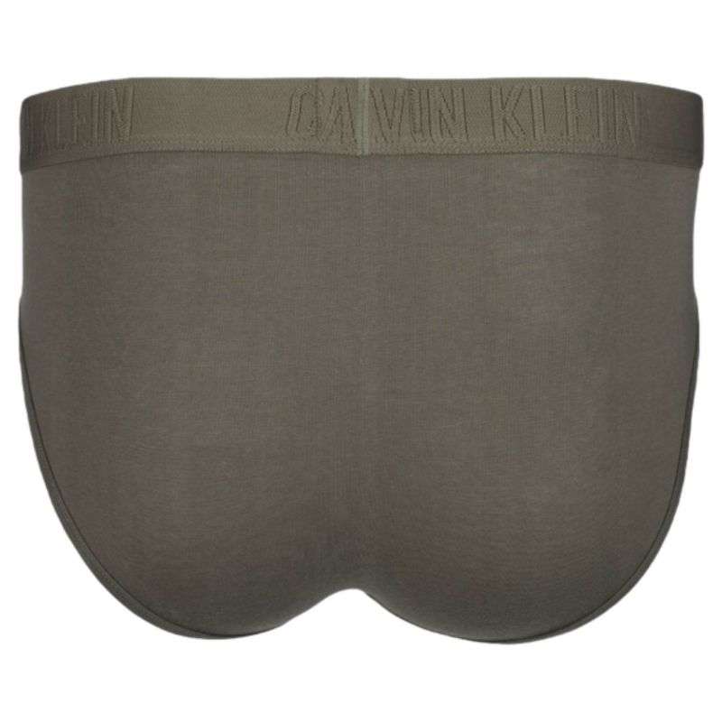 Calvin Klein Brief M NP2048O panties